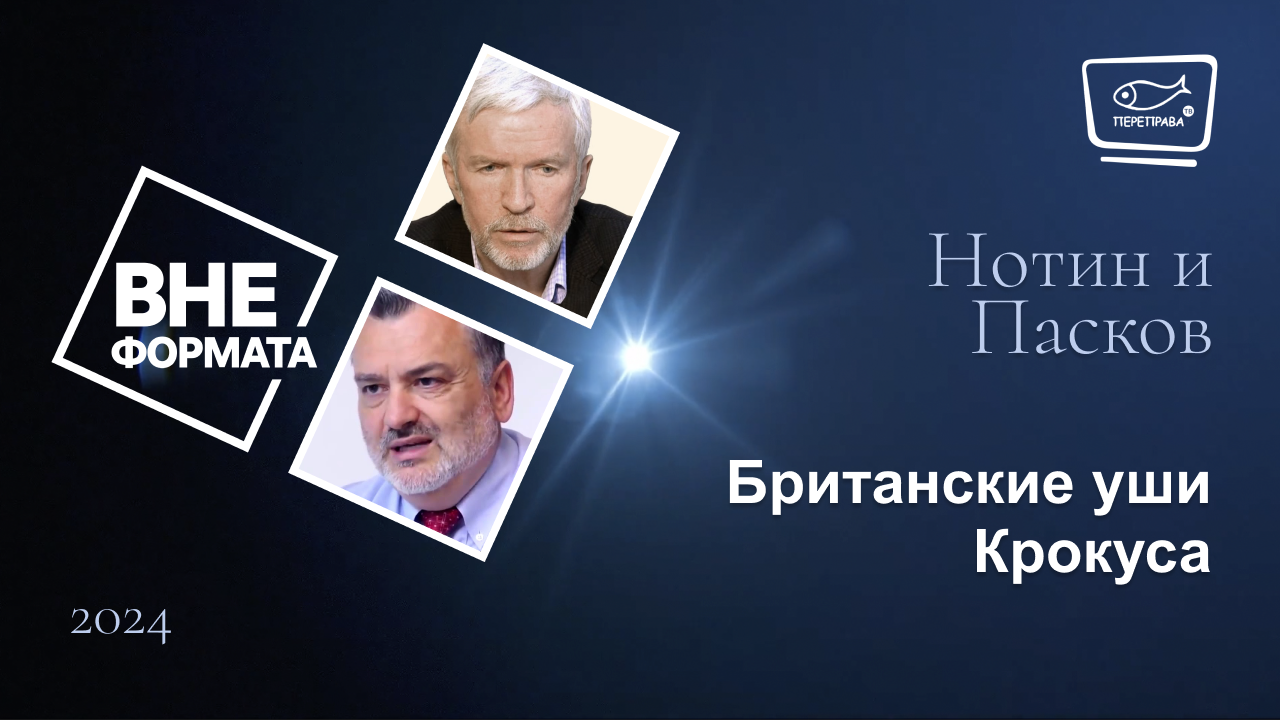 Британские уши Крокуса