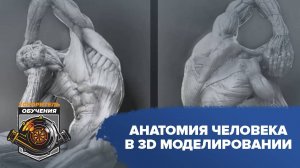 Анатомия человека в 3D моделировании