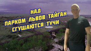 Над Парком львов "Тайган" сгущаются тучи / Как существуют киперы у местного царька?