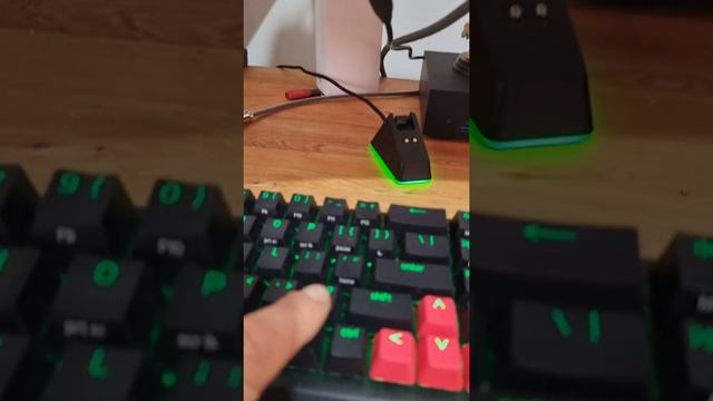 Razer blackwidow v3 mini problem