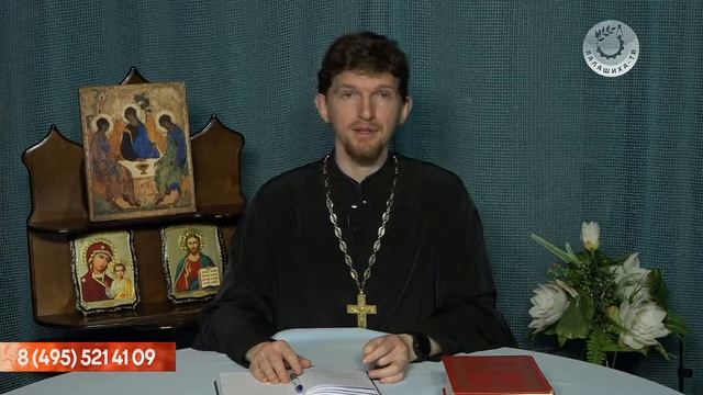 Балашихинское телевидение смотреть онлайн