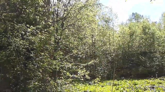 БЫВШИЙ ДОМ ОТДЫХА САНАТОРИЙ СОЛНЕЧНОГОРСК КУПИЛ ЧАСТНИК смотреть онлайн