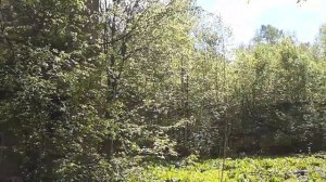 БЫВШИЙ ДОМ ОТДЫХА САНАТОРИЙ СОЛНЕЧНОГОРСК КУПИЛ ЧАСТНИК