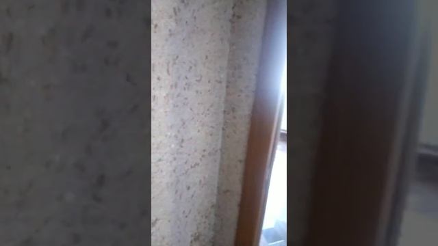 Срочно продается 2 комнатная квартира на улице Саперная, Ленинский район Саратова смотреть онлайн