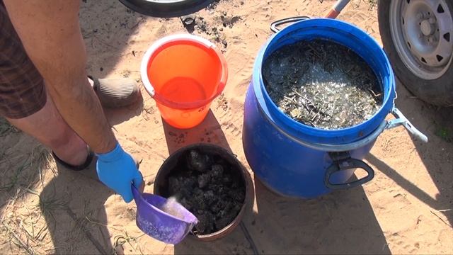 ?088А ?ГОТОВИМ СВЕЖИЙ КОНСКИЙ НАВОЗ ДЛЯ ДЕНДРОБЕНА ВЕНЕТА смотреть онлайн