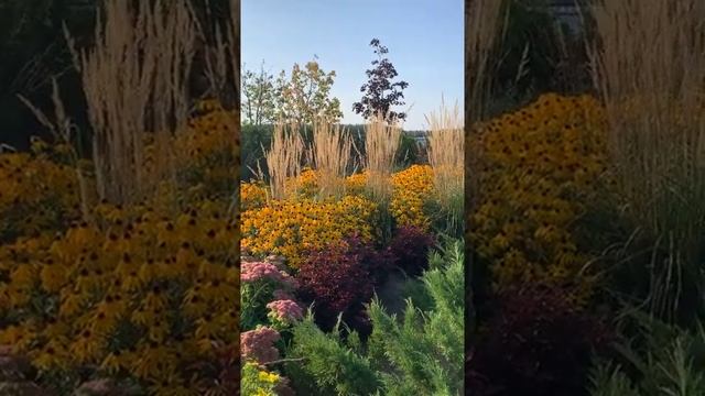 МОЙ САД |ПИТОМНИК "ЛЕСКОВО"| ТАТЬЯНА СМИРНОВА