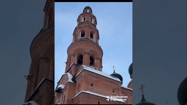 Святые кустики