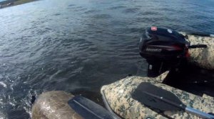 SUZUKI или HIDEA, НДНД или жесткий пол