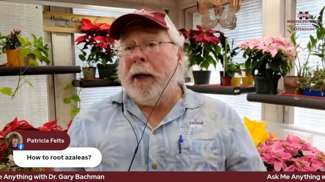 Ask Me Anything with Dr. Gary Bachman (December) смотреть онлайн