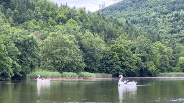 АВСТРИЯ, РОДИНА ШВАРЦЕНЕГГЕРА | На автодоме по Европе | Выпуск 34 смотреть онлайн