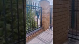 стрельба в г. Казнь школа 175 11.05.2021г.