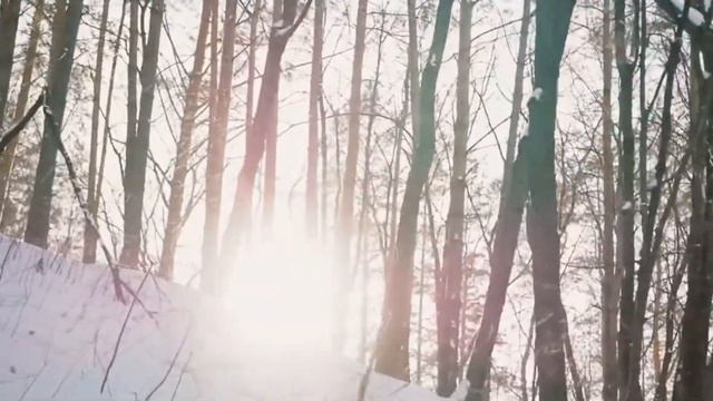 "Птица вольная!" смотреть онлайн