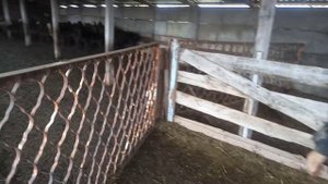 Овцеводческое хозяйство Алехина Владимира Ильича под Угледаром Донецкой области