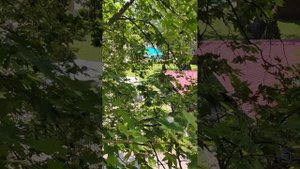 Отель Олимп 2023г. Анапа, Джемете. Номер Стандарт