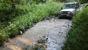 УАЗЫ КУПАХТУЮТСЯ В ЛЕСНОЙ ЧАЩЕ ! ЧАСТЬ 2.mp4