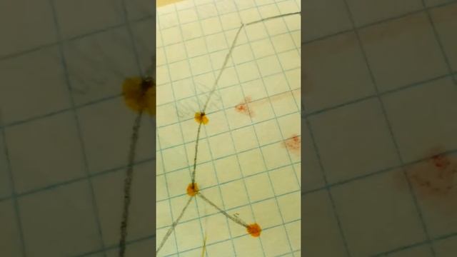 Рисуем созвездие "Большой пёс". смотреть онлайн