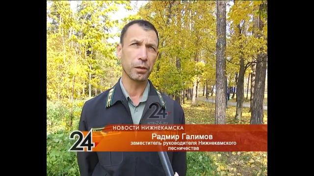 В Нижнекамске восстанавливают лес, заложенный купцами Стахеевыми смотреть онлайн