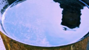 ШРАМ НА ЕЁ ШЕЕ: Невероятное дело Элисон Бота