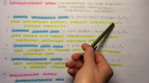 Билет 048. ШЕЙНОЕ СПЛЕТЕНИЕ: ОБРАЗОВАНИЕ, ТОПОГРАФИЯ, ВЕТВИ, ОБЛАСТИ ИННЕРВАЦИИ. ШЕЙНАЯ ПЕТЛЯ.