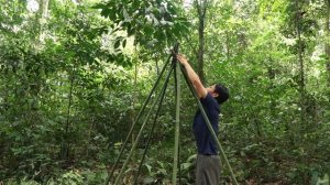 Навык выживания - испытание на выживание - создание местных хижин из бамбука и пальмовых листьев