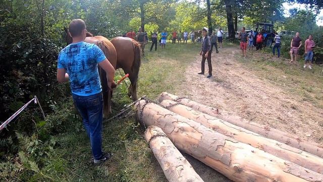 КІННІ ЗМАГАННЯ/КОНІ В ПАРІ/СЕЛО УЛИЧНЕ./КОНІ В УКРАЇНІ!!!