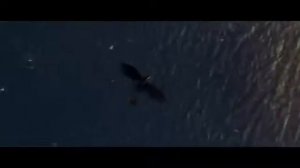 Иккинг и Беззубик "Молодая кровь"