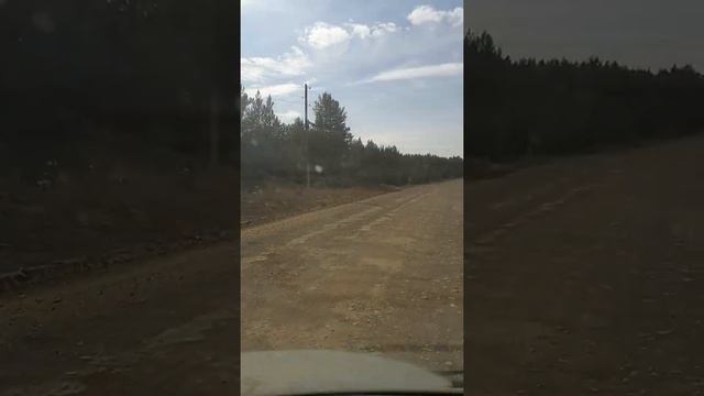 Кодинск смотреть онлайн