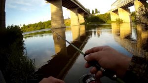 окунь на джиг в реке Б.Сосна