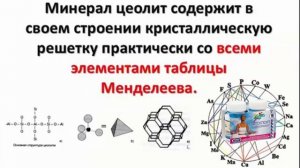 Литоспорт - адаптоген, таблетки 2х50г.