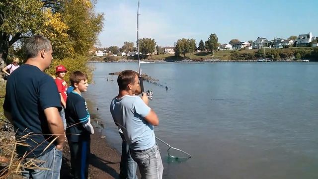 Сазан, Карп 12.5 кг Канада смотреть онлайн