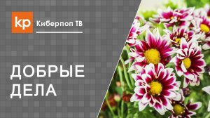 На зло отвечай добром. Про добро и зло