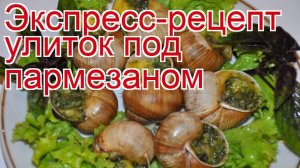 Рецепты из улитки - как приготовить улиток пошаговый рецепт - Экспресс-рецепт улиток под пармезаном