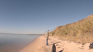 Пеленгас 2 дня рыбалки