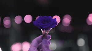 sting ~ desert rose (slowed + reverb)