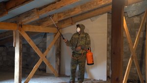 Чердачные помещения медицинских учреждений начали обрабатывать огнеупорным средством