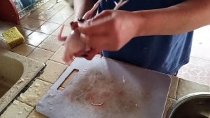 Новая перощипалка?. Обзор перощипалки ПМ-2 для перепелов.