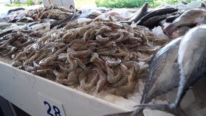 Рыбный рынок в Дубае