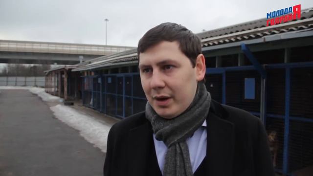 Помощь приюту для бездомных животных 'Ржевка'. Михаил Черепанов смотреть онлайн