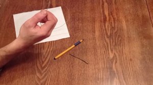 Установка капканов на куницу,белку лису