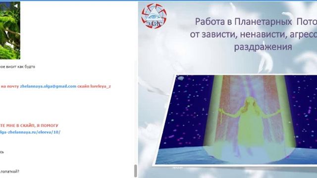 #Птица#Счастья#29.01.2019