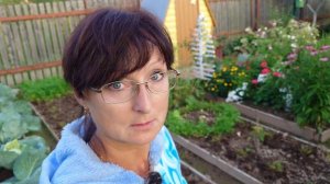 Видео привет с 6 соток 6 августа 2024 года.