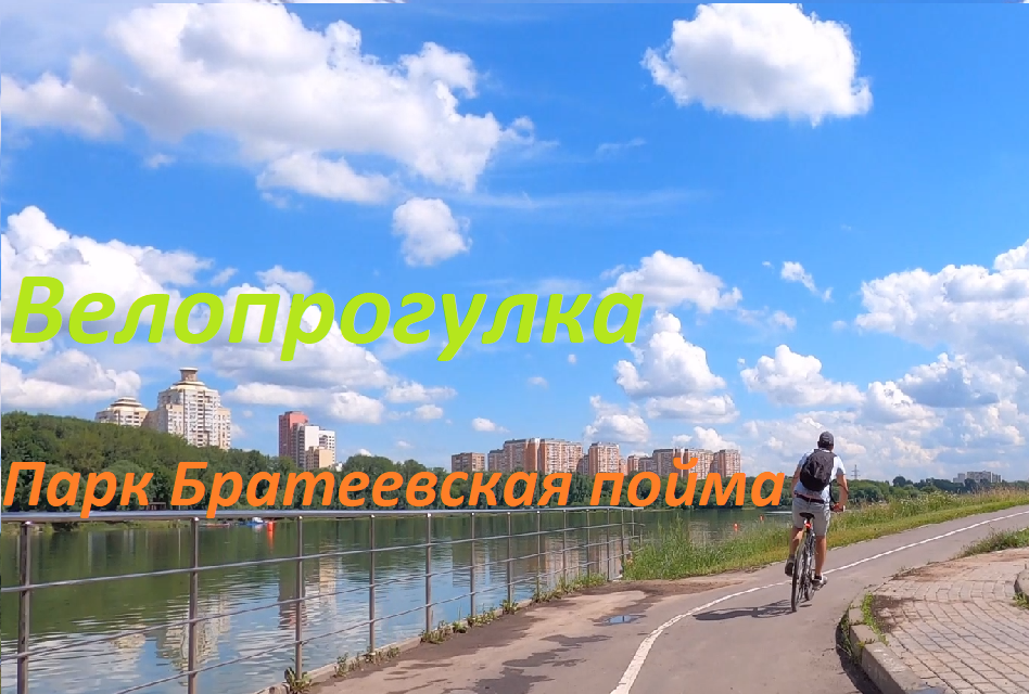 Едет бором