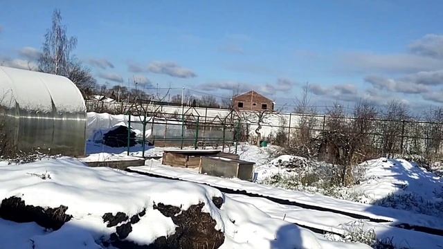 Зимнее утро Маленькие бандиты?Ну что же за козы у вас ???