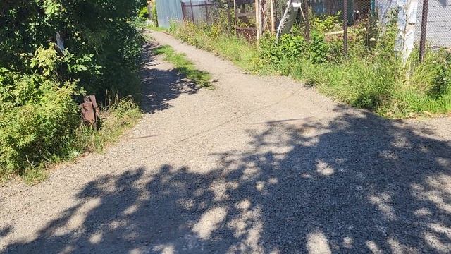 20230813_122651.mp4 смотреть онлайн