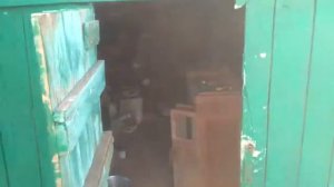 Станица Гиагинская. Обзор участка. v 2.0