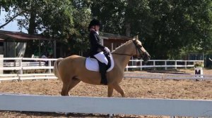 VLOG: все за 5 минут/2-3 день/соревнования/конный спорт/ByWindyFriz