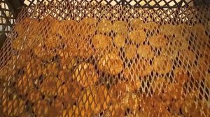 Сушим фрукты - овощи , ЛЕГКО! The dried fruits - vegetables , EASY !