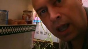 Геннадий Горин - мужик cпрятался в холодильнике