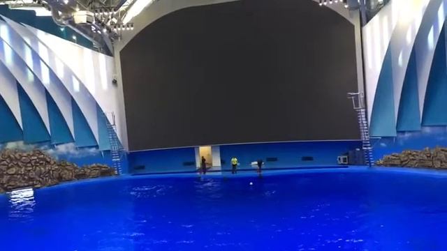 Полимочевина Polyshield AMP - 100 _ гидроизоляция чаши Океанариума на о.Русский, г.Владивосток смотреть онлайн