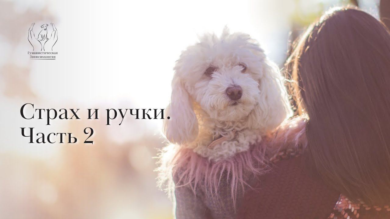 Страх и ручки. Часть 2 смотреть онлайн